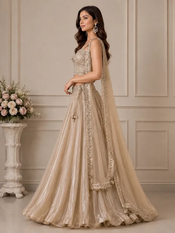 Beige_Silk_Net_Embroidered_Sequin_Lehenga_Choli_For_Women