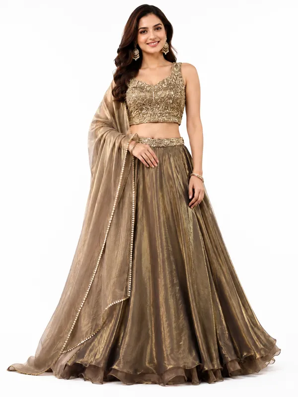 Beige_Embellished_Sleeveless_Blouse_Flared_Lehenga_With_Dupatta_For_Women