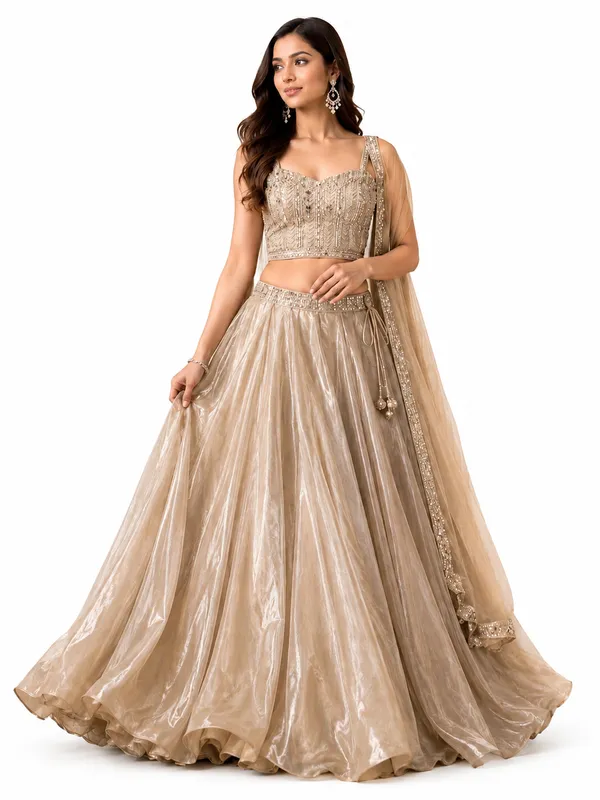 Beige_Silk_Net_Embroidered_Sequin_Lehenga_Choli_For_Women
