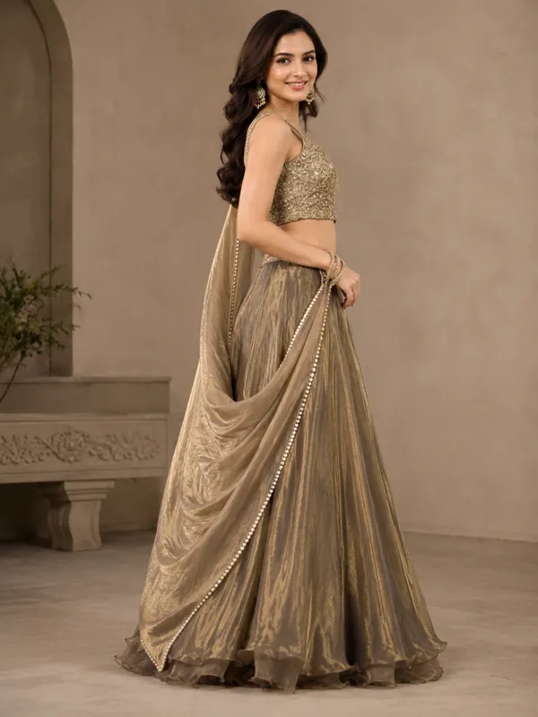 Beige_Embellished_Sleeveless_Blouse_Flared_Lehenga_With_Dupatta_For_Women