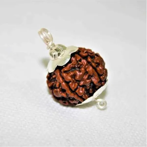 Brown_Rudraksha_Natural_5_Mukhi_Silver_Cap_Pendant_For_Unisex
