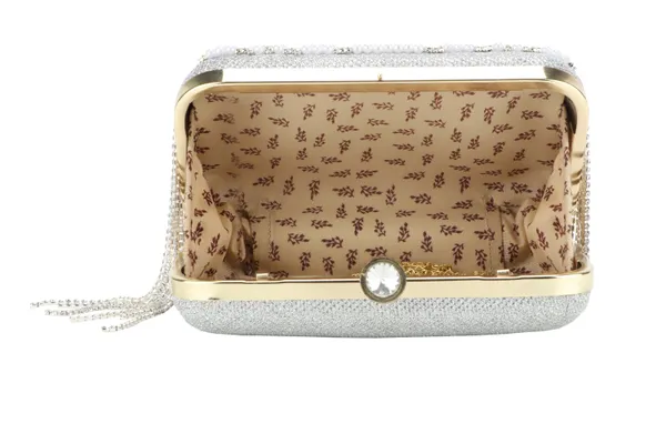 Silver_Crystal_Pearl_Fringe_Embellished_Box_Clutch_For_Women