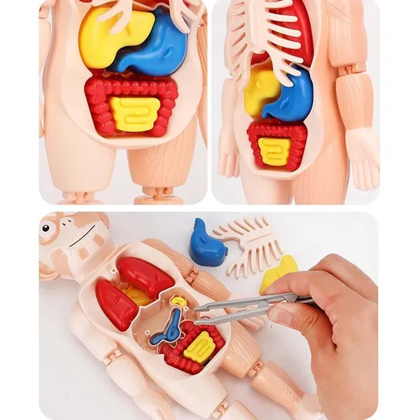 Multicolor_Plastic_Educational_And_Learning_For_Kids