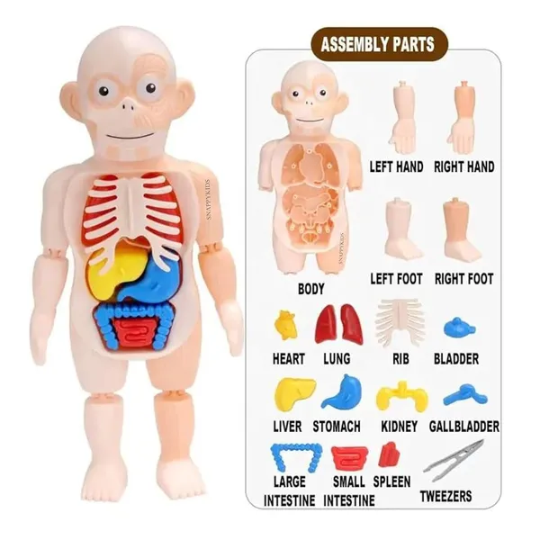 Multicolor_Plastic_Educational_And_Learning_For_Kids