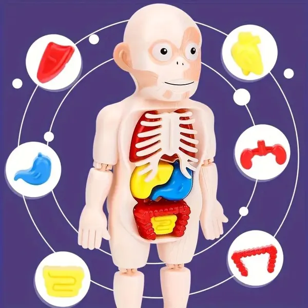 Multicolor_Plastic_Educational_And_Learning_For_Kids