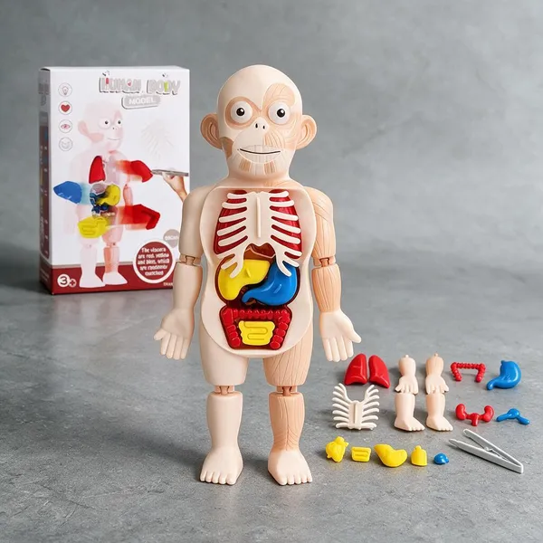 Multicolor_Plastic_Educational_And_Learning_For_Kids