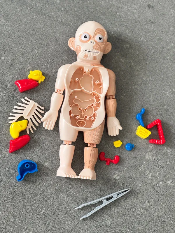 Multicolor_Plastic_Educational_And_Learning_For_Kids