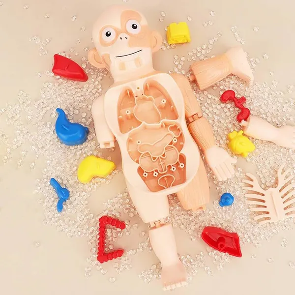 Multicolor_Plastic_Educational_And_Learning_For_Kids