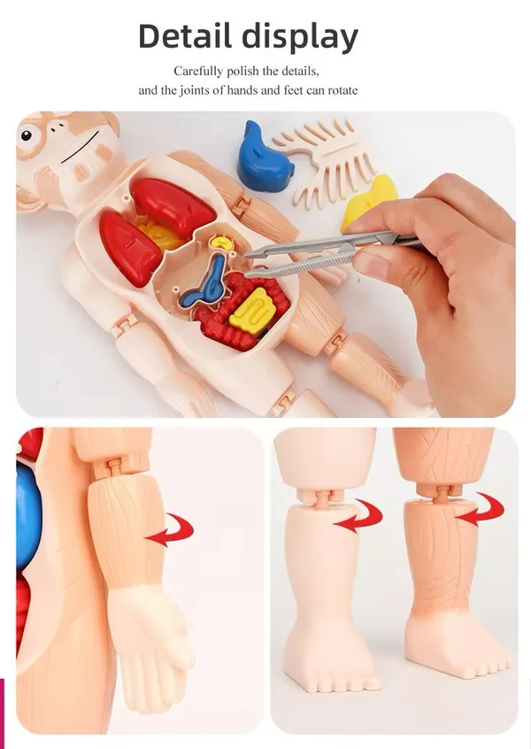 Multicolor_Plastic_Educational_And_Learning_For_Kids
