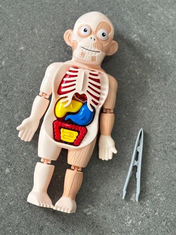 Multicolor_Plastic_Educational_And_Learning_For_Kids
