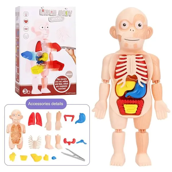 Multicolor_Plastic_Educational_And_Learning_For_Kids