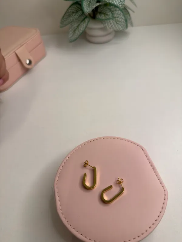Stainless_Steel_U-Shape_Hoop_Earrings_For_Women