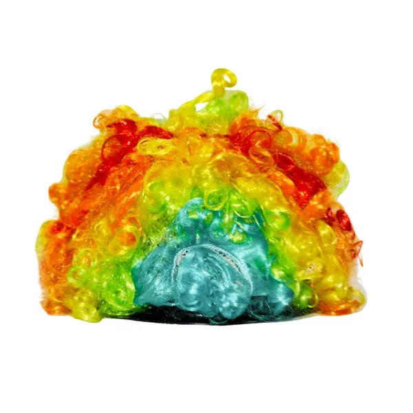 Rainbow_Clown_Wig_Costume_For_Traditional_Events_For_Kids