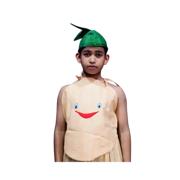 Potato_Costume_For_Traditional_Events_For_Kids