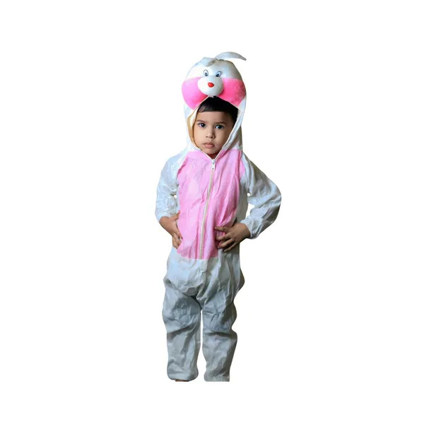 Rabbit_Costume_For_Traditional_Events_For_Kids