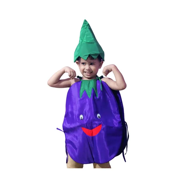 Brinjal_Costume_For_Traditional_Events_For_Kids