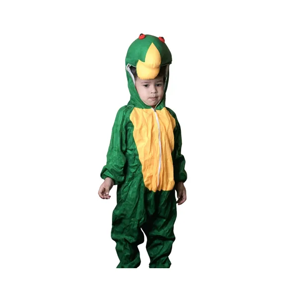 Frog_Costume_For_Traditional_Events_For_Kids