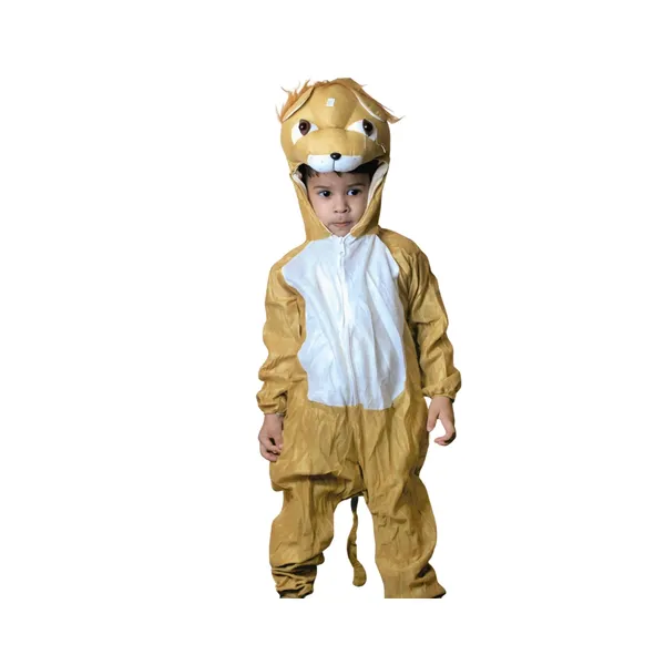 Lion_Costume_For_Traditional_Events_For_Kids