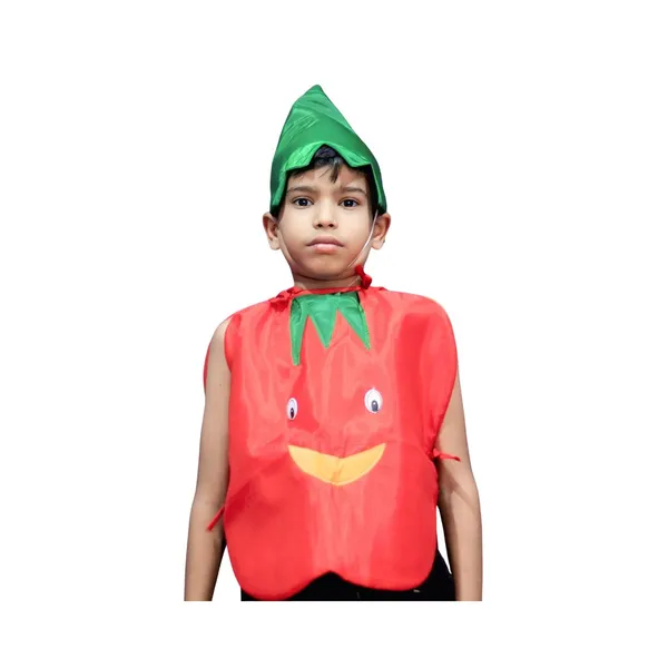 Tomato_Costume_For_Traditional_Events_For_Kids