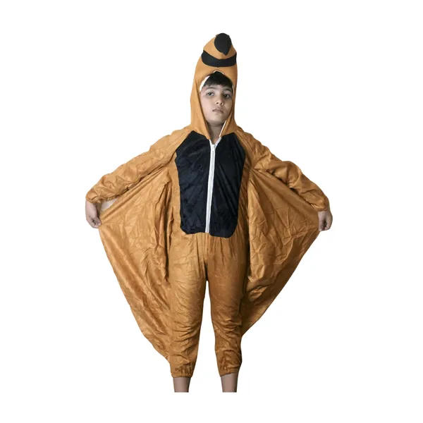 Eagle_Costume_For_Traditional_Events_For_Kids