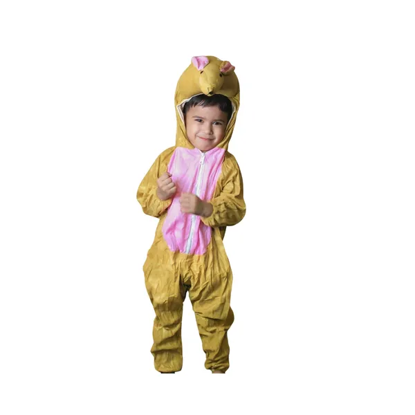 Rat_Costume_For_Traditional_Events_For_Kids
