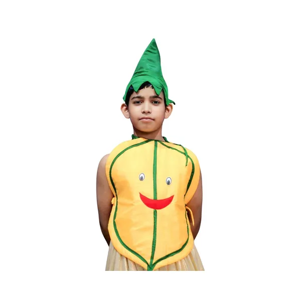 Papaya_Costume_For_Traditional_Events_For_Kids