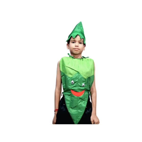Chilli_Costume_For_Traditional_Events_For_Kids