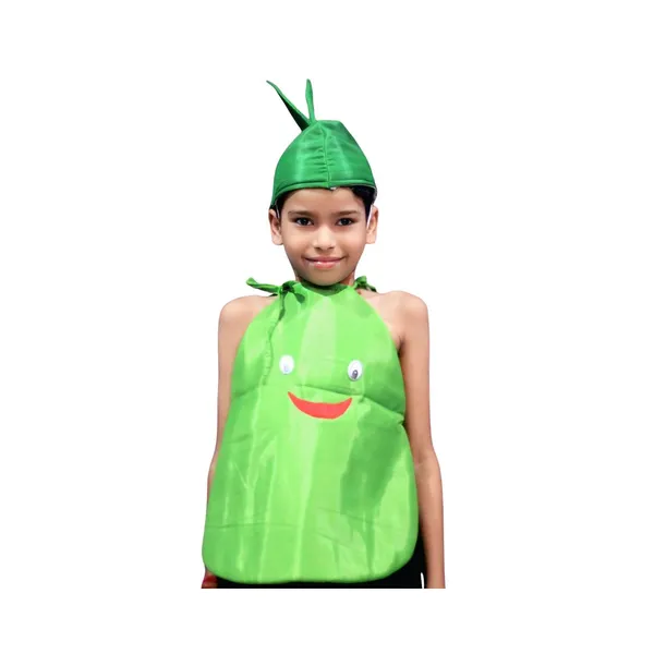 Bottle_Gourd_Costume_For_Traditional_Events_For_Kids