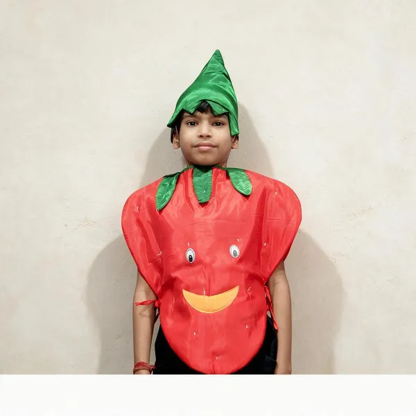 Red_Foam_Fabric_Strawberry_Shape_Fruit_Costume_For_Boys