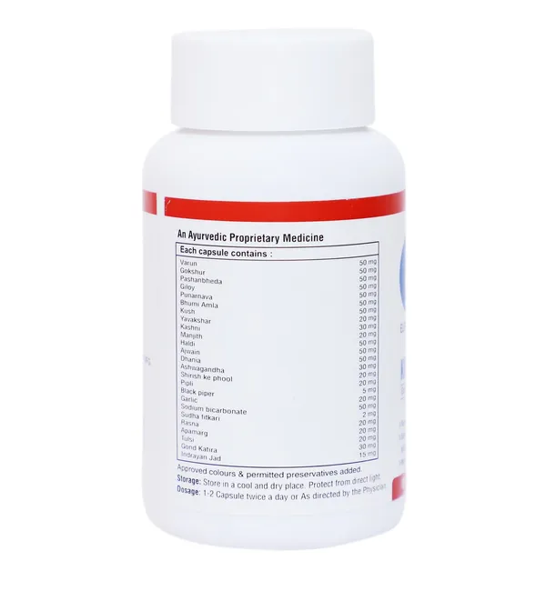 Element_One_Kidney_Health_Ayurvedic_Detox_Capsules_60