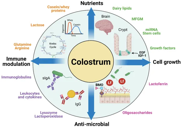 Element_One_Bovine_Colostrum_Immunity_Gut_Health_Capsules_10S