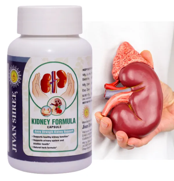 Ayurvedic_Kidney_Cleanse_Detox_Support_Veg_Tablets_60S