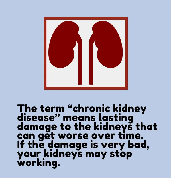 Ayurvedic_Kidney_Cleanse_Detox_Support_Veg_Tablets_60S