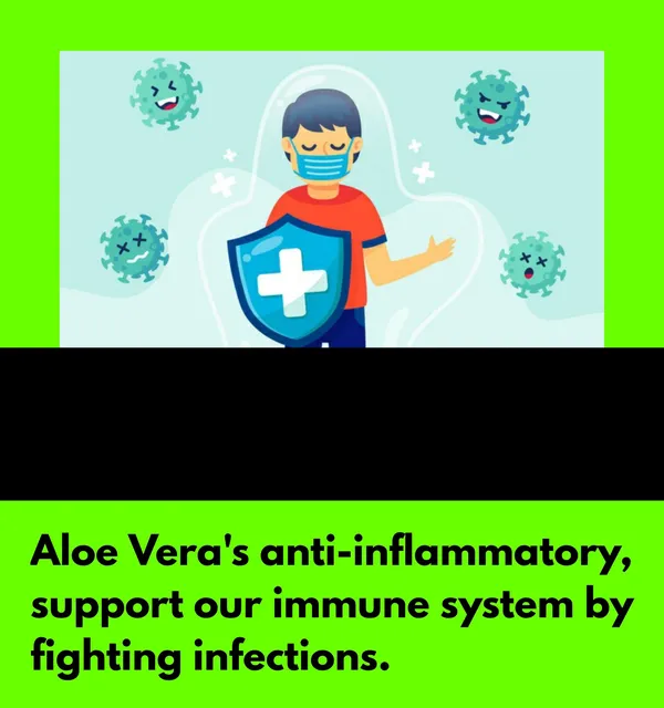 Element_One_Aloe_Vera_Digestive_Health_Capsules