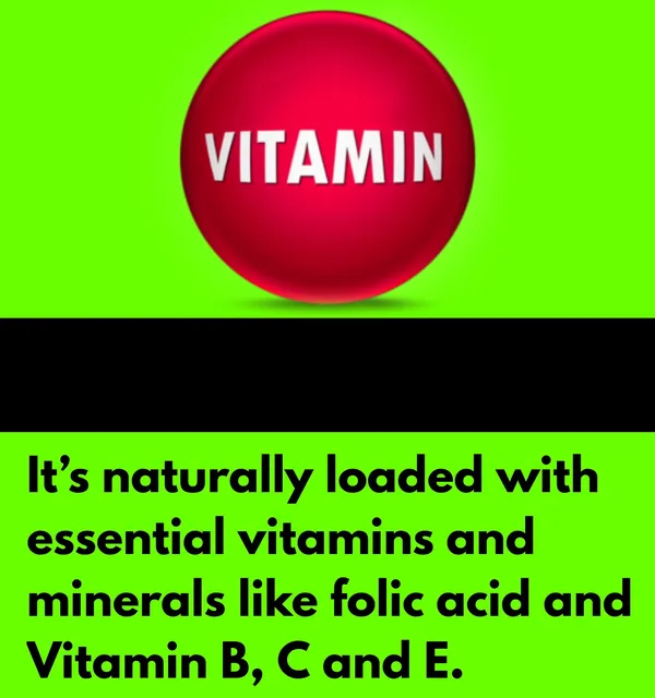 Element_One_Aloe_Vera_Digestive_Health_Capsules