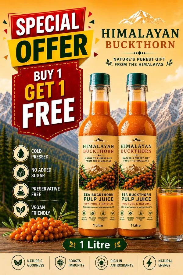 Buy_1_Get_1_Free_Himalayan_Sea_Buckthorn_Pulp_Juice_500ml_+_500ml_Rich_in_Vitamin_C_Omega_3,_6,_7_&_9_Antioxidant-Rich_Himalayan_Superfruit_Drink
