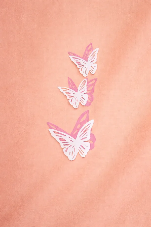 Peach_Rayon_Wide_Leg_Butterfly_Print_Palazzo_Pants_For_Women