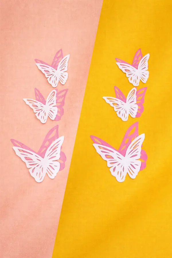 Peach_And_Yellow_Rayon_Wide_Leg_Butterfly_Print_Palazzo_Pants_Combo_For_Women
