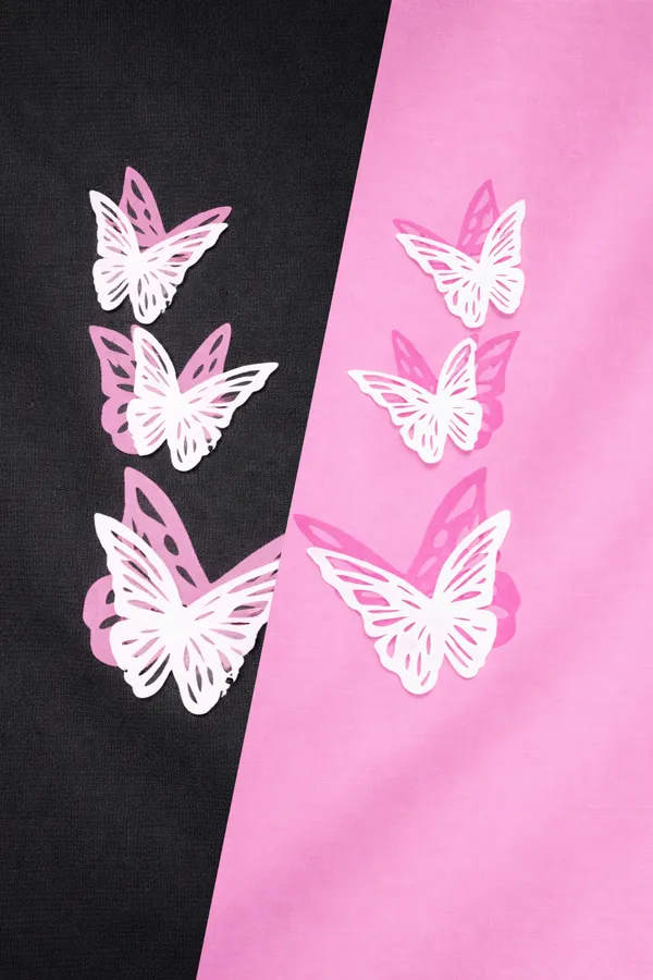 Black_Pink_Rayon_Wide_Leg_Butterfly_Embroidered_Palazzo_Pants_For_Women