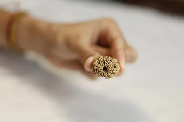 Brown_Textured_Rudraksha_Bead