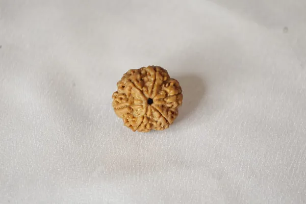 Brown_Rudraksha_Bead
