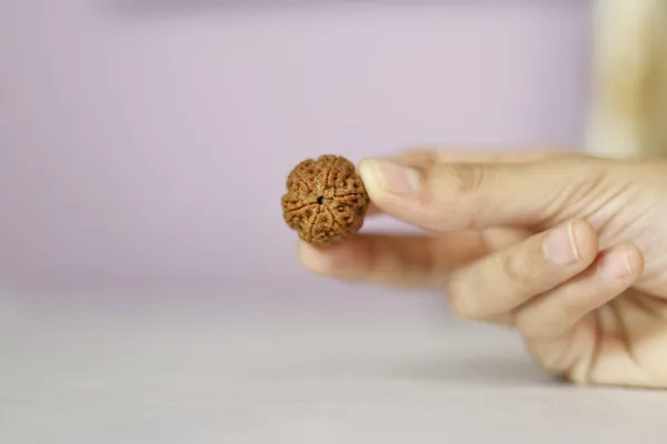 Brown_Rudraksha_Spiritual_Bead