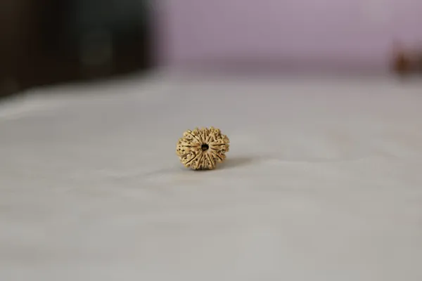Brown_Textured_Rudraksha_Bead