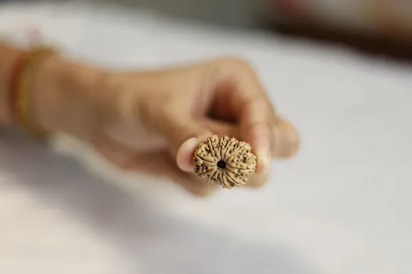 Brown_Textured_Rudraksha_Bead