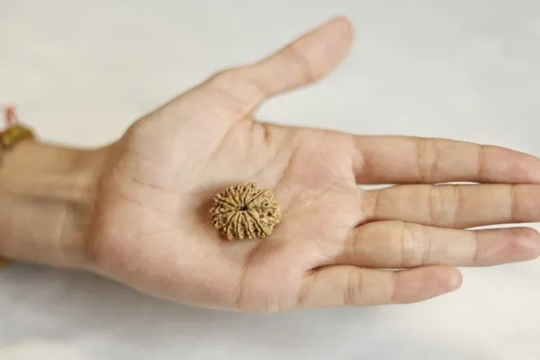 Brown_Textured_Rudraksha_Bead
