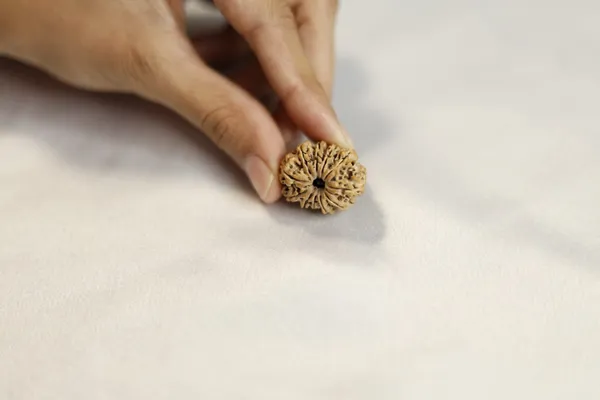 Brown_Textured_Rudraksha_Bead