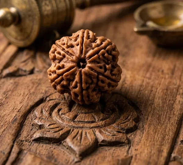 Natural_Brown_4_Mukhi_Rudraksha_Bead