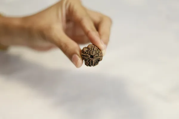 Natural_Brown_Rudraksha_Bead