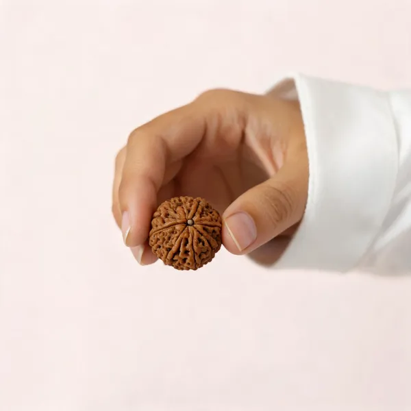 Brown_Rudraksha_Spiritual_Bead