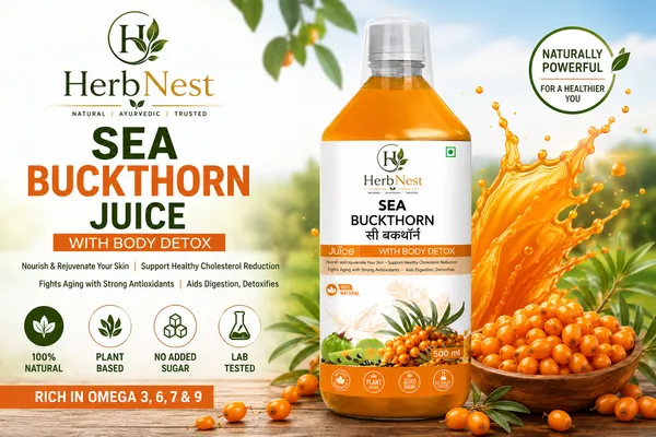 Sea_Buckthorn_Juice_500_ml_|_Superfood_Herbal_Health_Drink_|_Rich_in_Omega_Fatty_Acids_&_Vitamin_C_|_Immunity_Booster_for_Skin,_Heart_&_Gut_Health